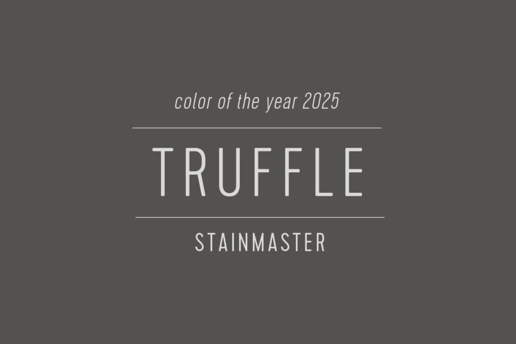 رنگ سال 2025 Stainmaster Paint: ترافل